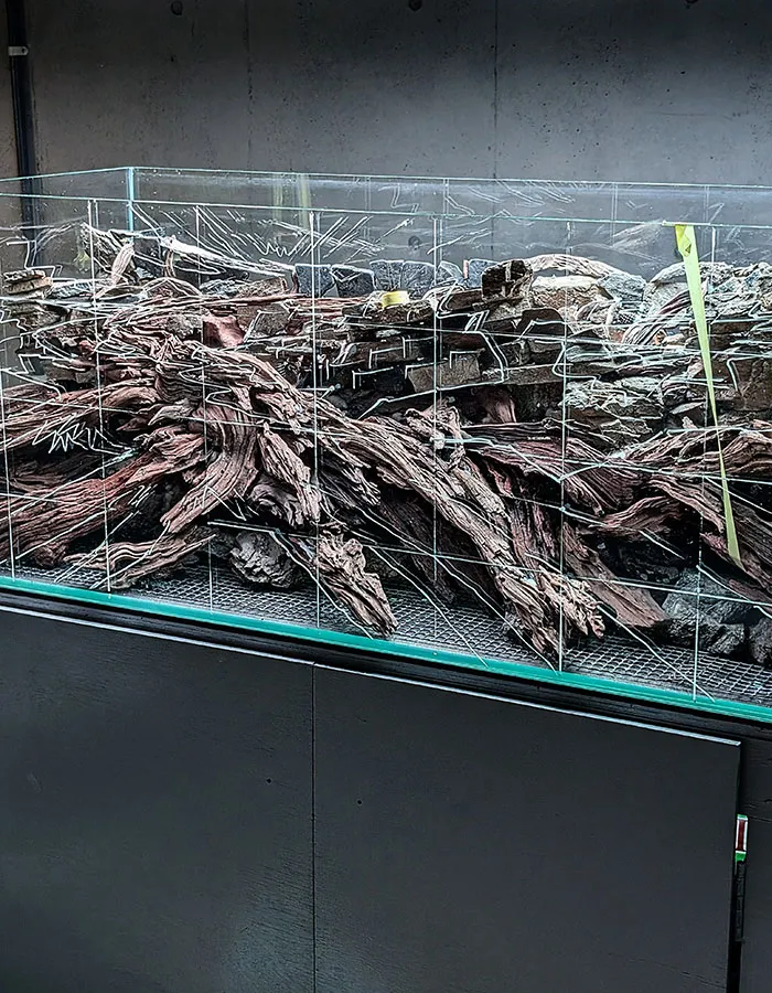 Aquascaping steps - PRIMAL BUST - IAPLC 2025 Silver Prize - Katsuki Tanaka / Japan